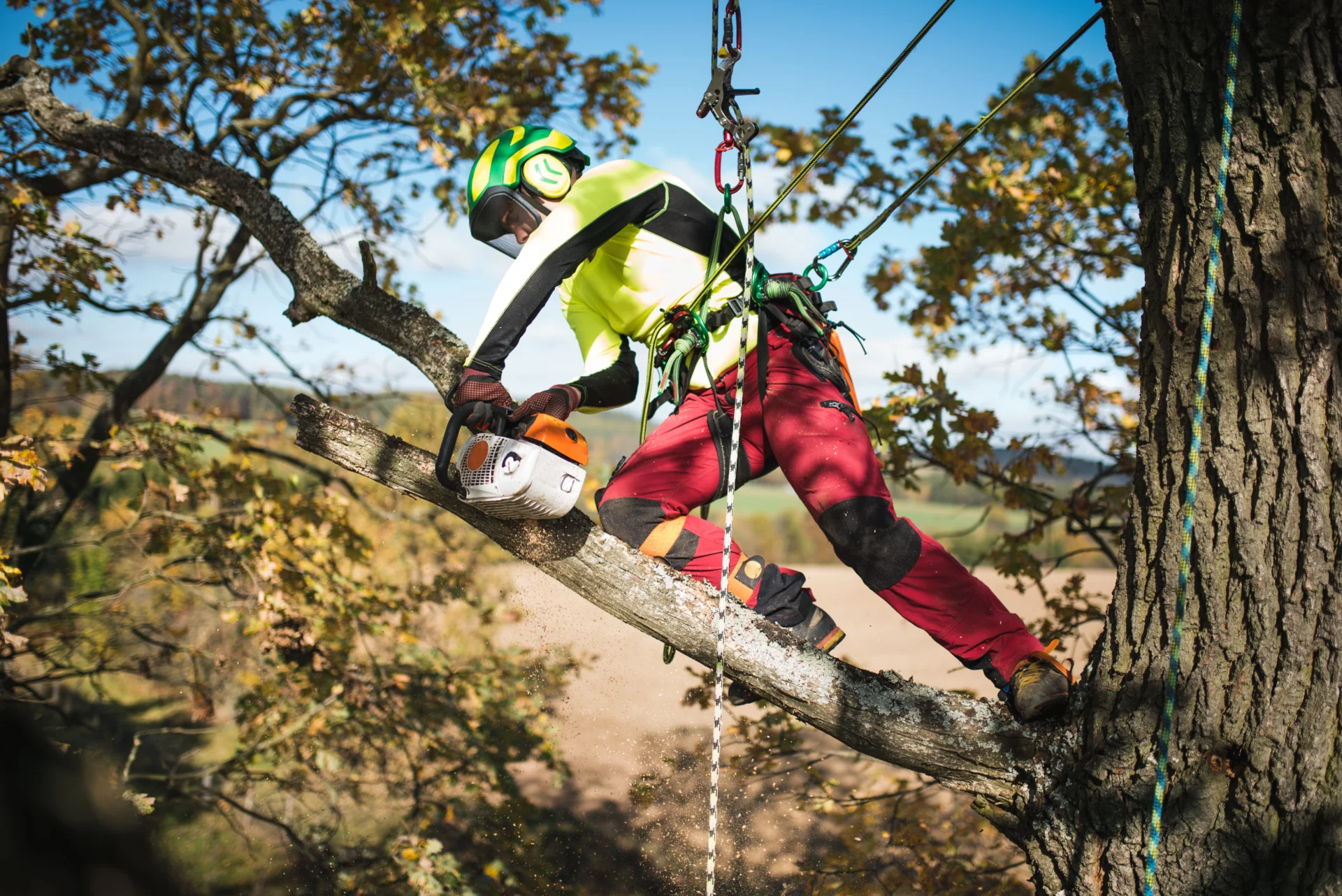 person sawing a branch, while securely attached to rope harness