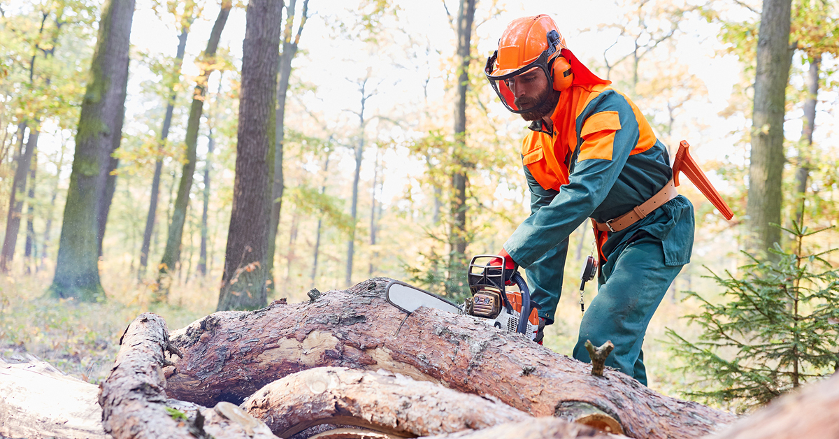 5 Types of Arborist Protective Clothing Even the Most Experienced Workers  Need - Rock-N-Arbor