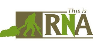 RNR Logo Sasquatch